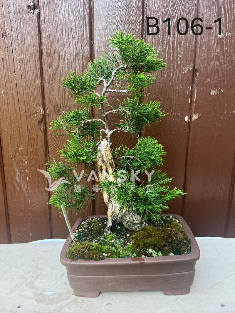 260323231115_B106-1 25-1 - 25-06.JPG